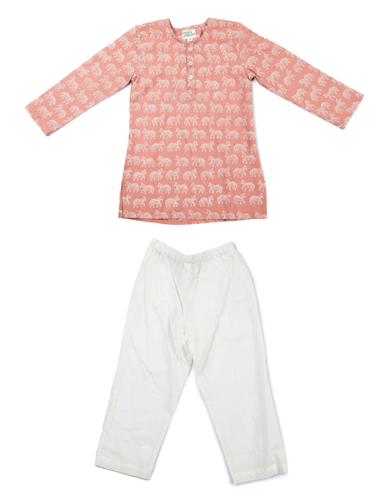 PARIS JOBURG outlet pyjama zebre rose ségur 2/12 ans